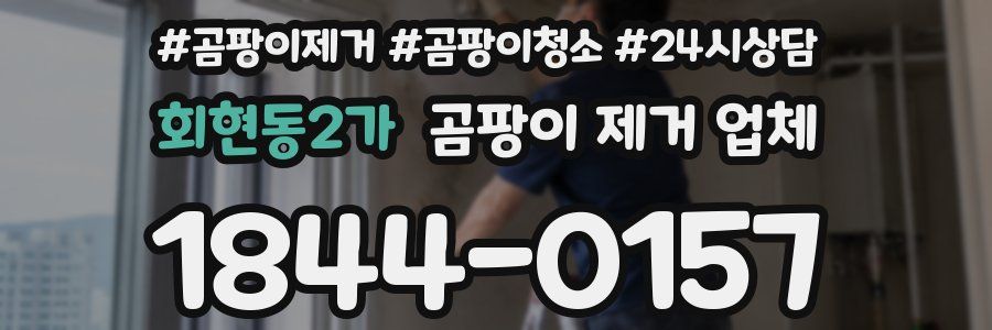 회현동2가 곰팡이 제거 업체