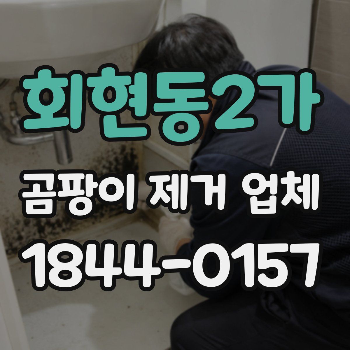 회현동2가 곰팡이 제거 업체