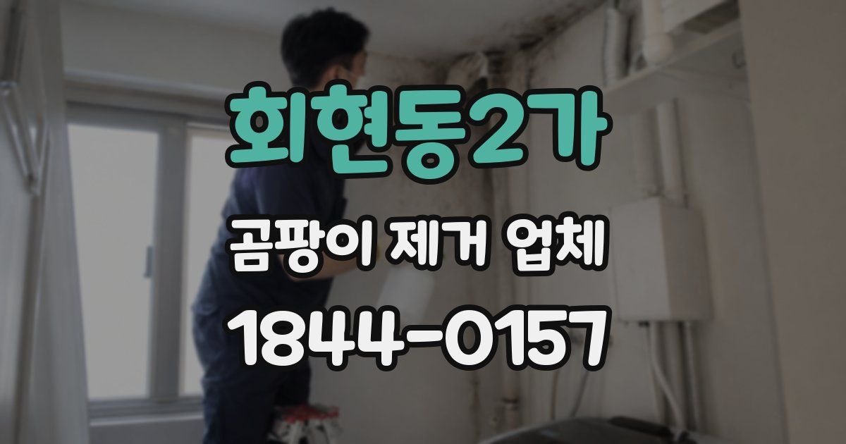 회현동2가 곰팡이 제거 업체