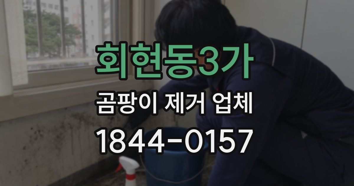 회현동3가 곰팡이 제거 업체