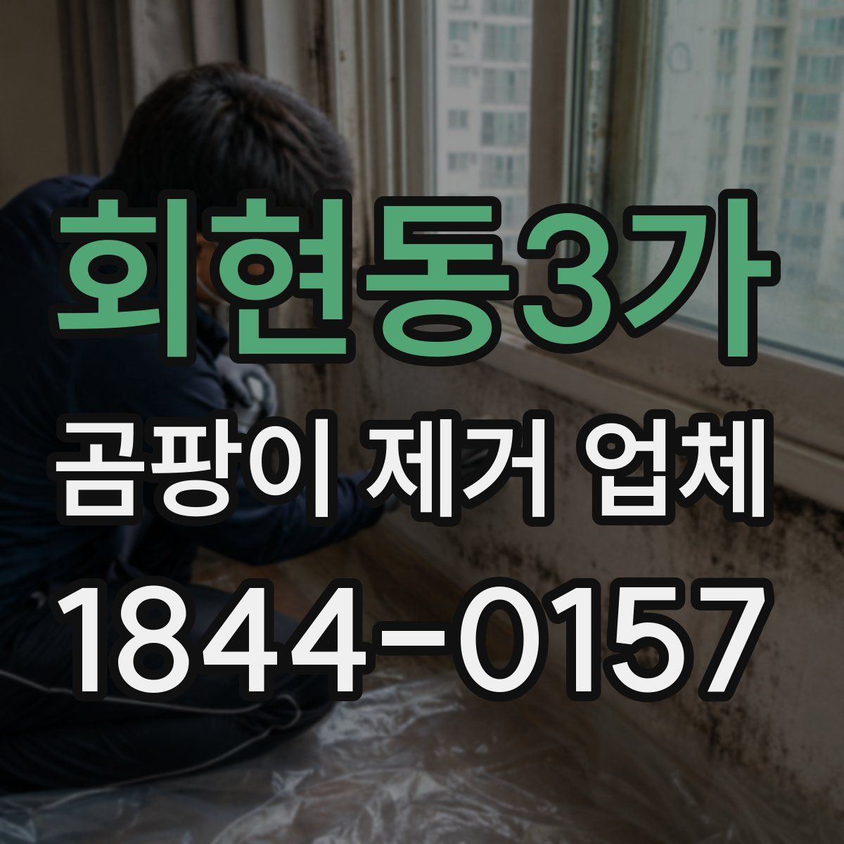 회현동3가 곰팡이 제거 업체