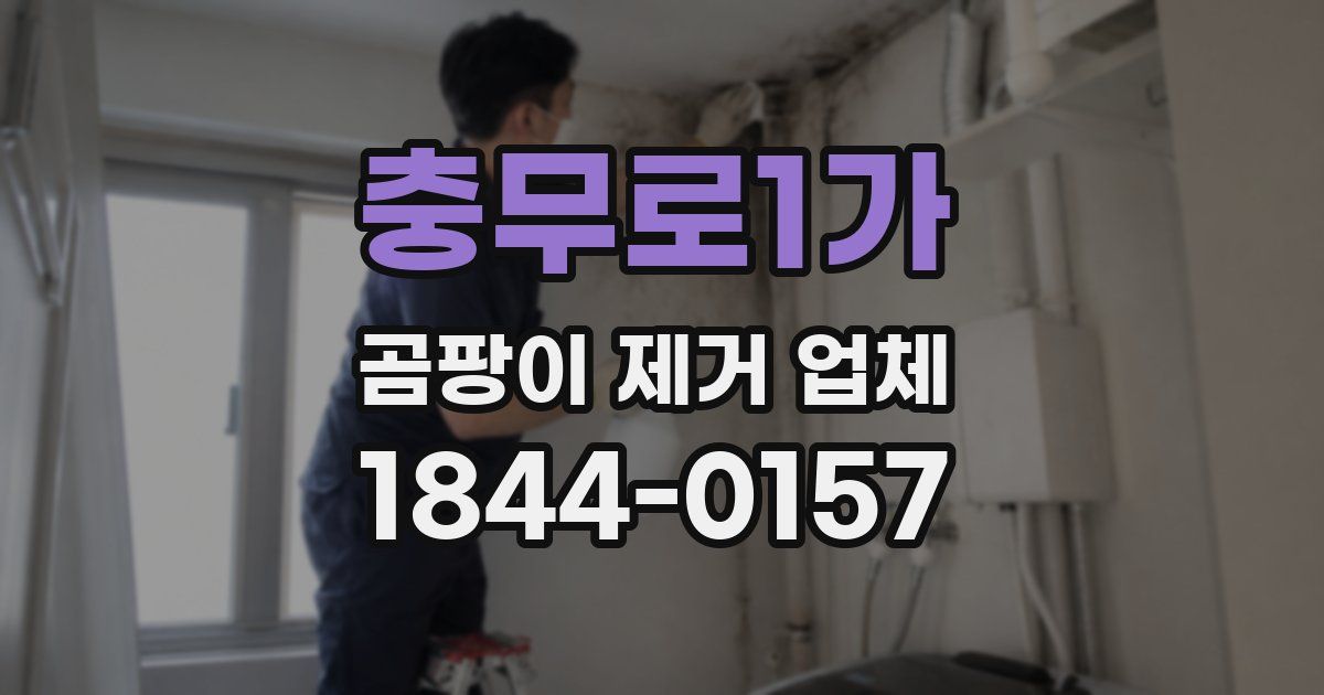 충무로1가 곰팡이 제거 업체