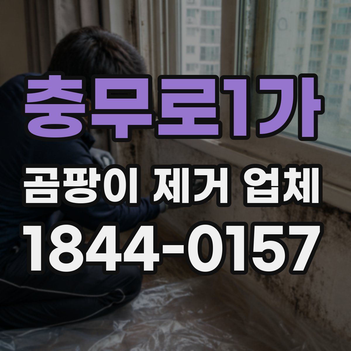 충무로1가 곰팡이 제거 업체