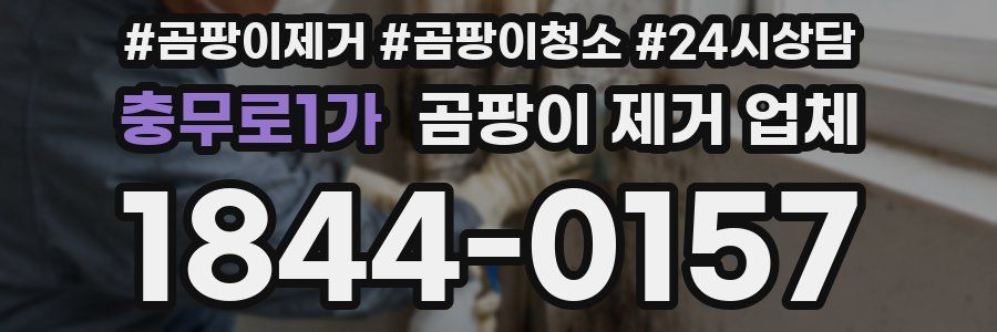충무로1가 곰팡이 제거 업체