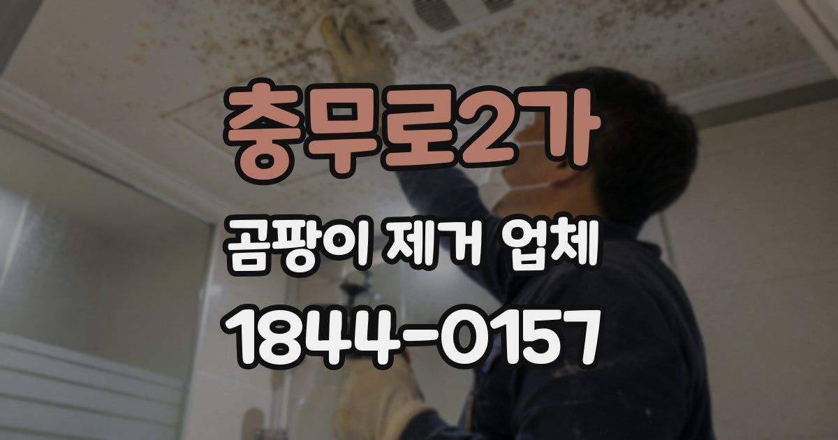 충무로2가 곰팡이 제거 업체