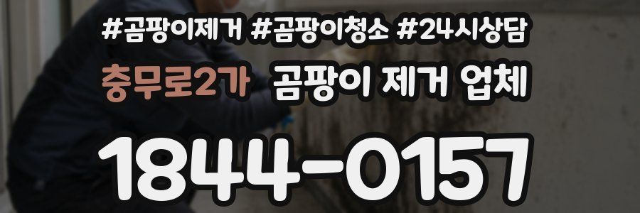 충무로2가 곰팡이 제거 업체