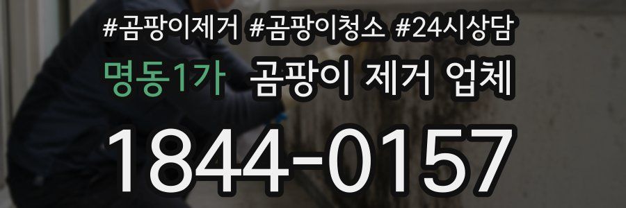 명동1가 곰팡이 제거 업체