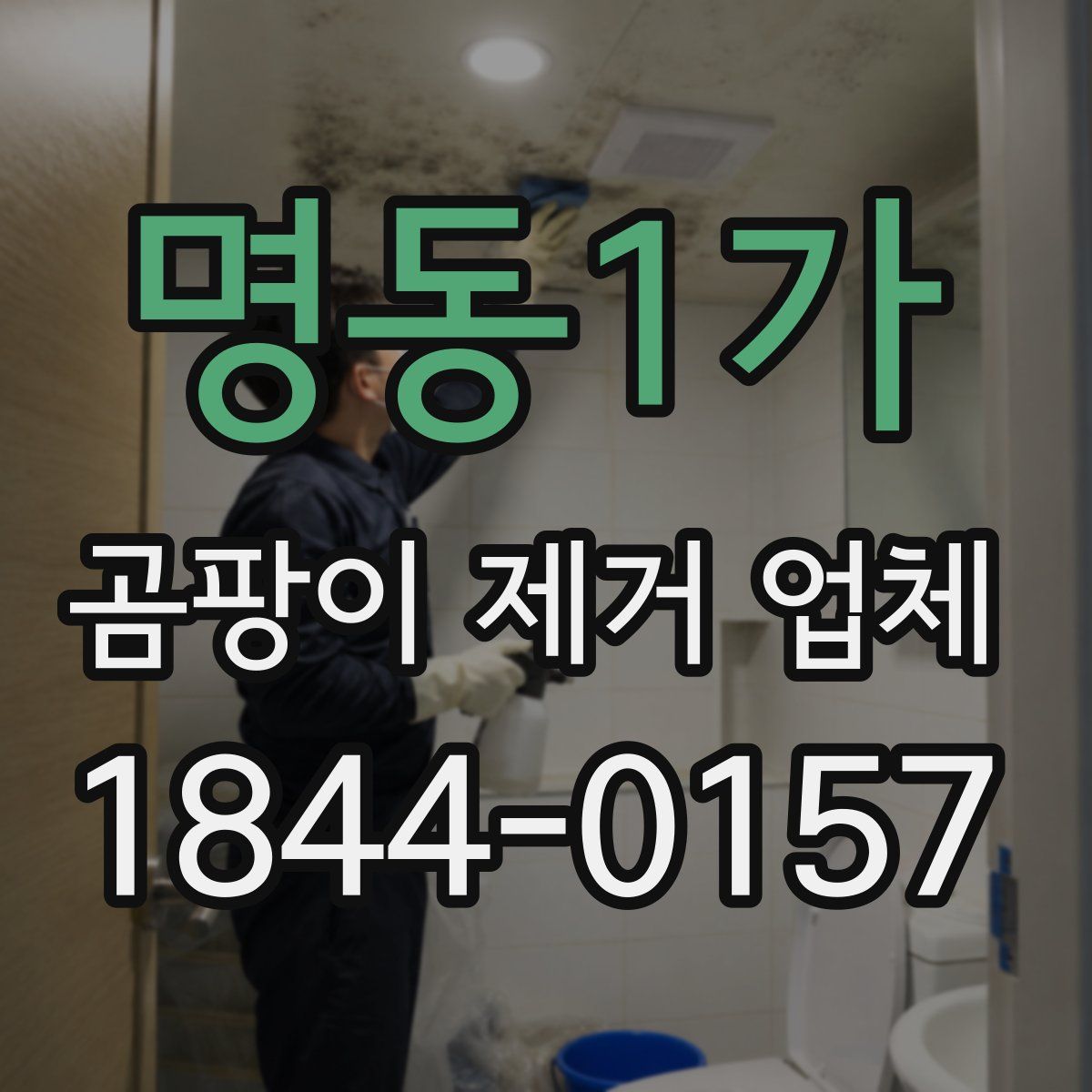 명동1가 곰팡이 제거 업체
