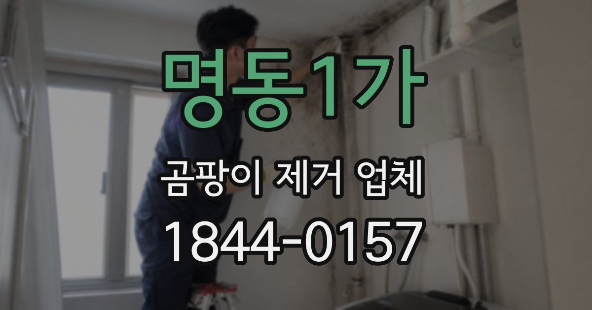 명동1가 곰팡이 제거 업체