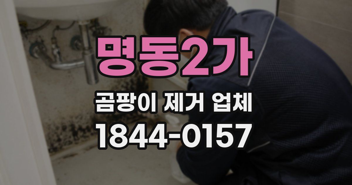 명동2가 곰팡이 제거 업체