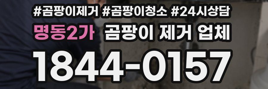 명동2가 곰팡이 제거 업체