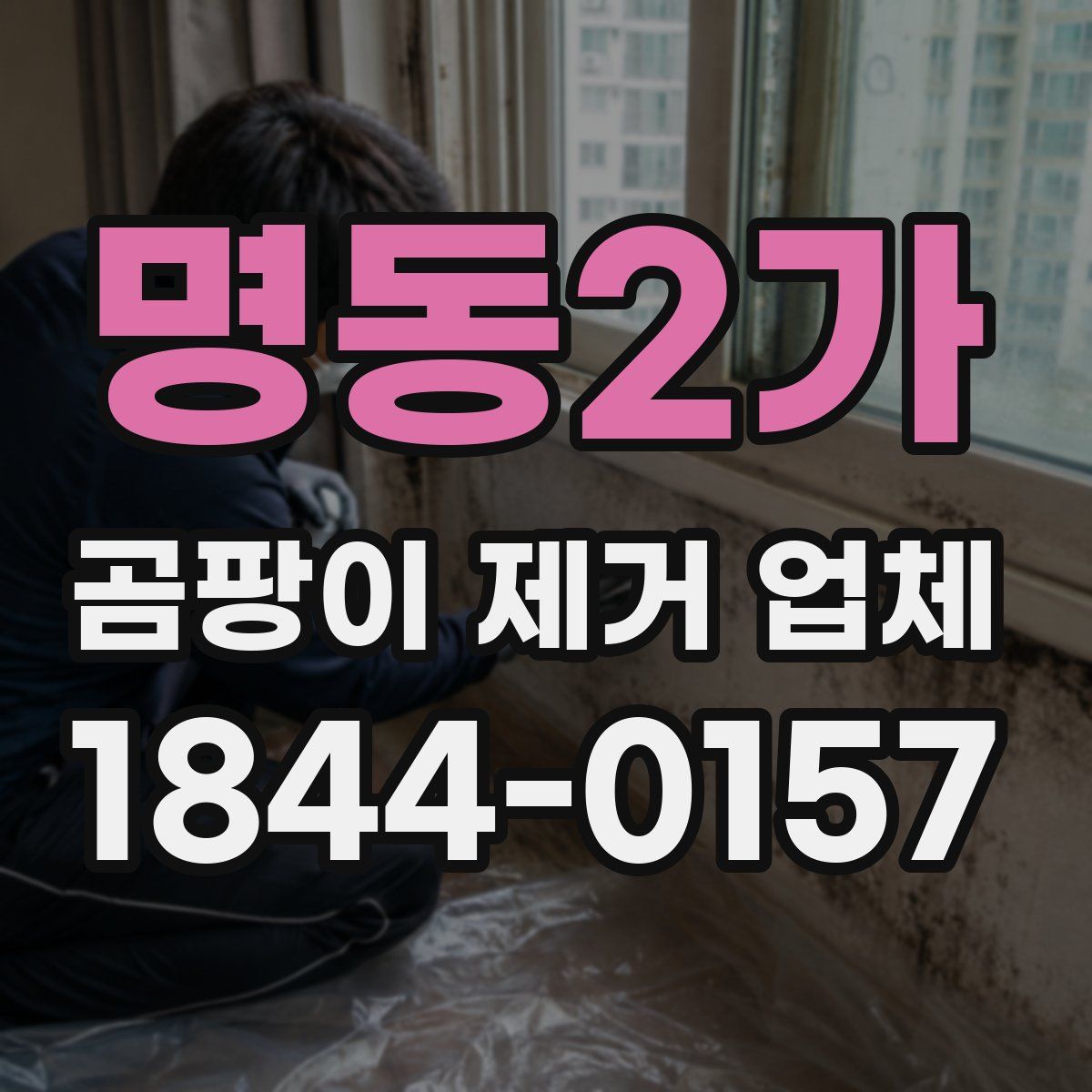 명동2가 곰팡이 제거 업체