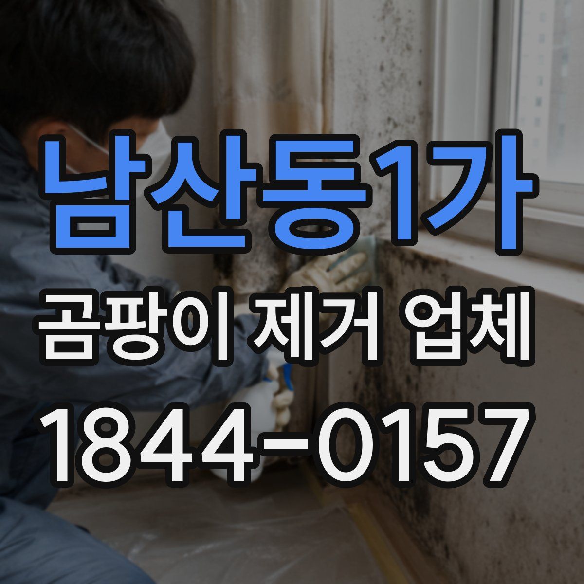 남산동1가 곰팡이 제거 업체