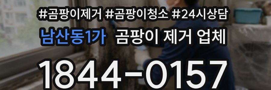 남산동1가 곰팡이 제거 업체