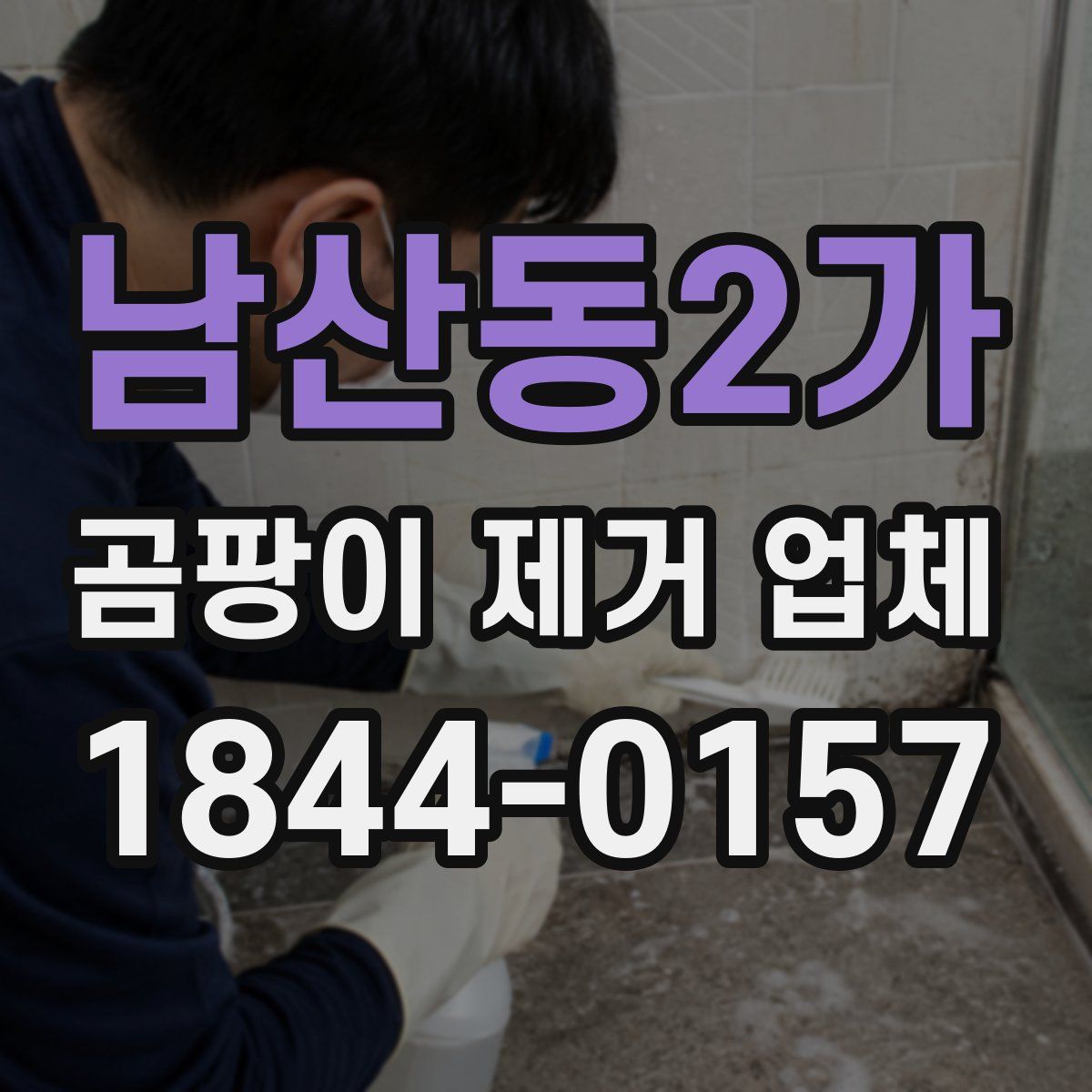 남산동2가 곰팡이 제거 업체