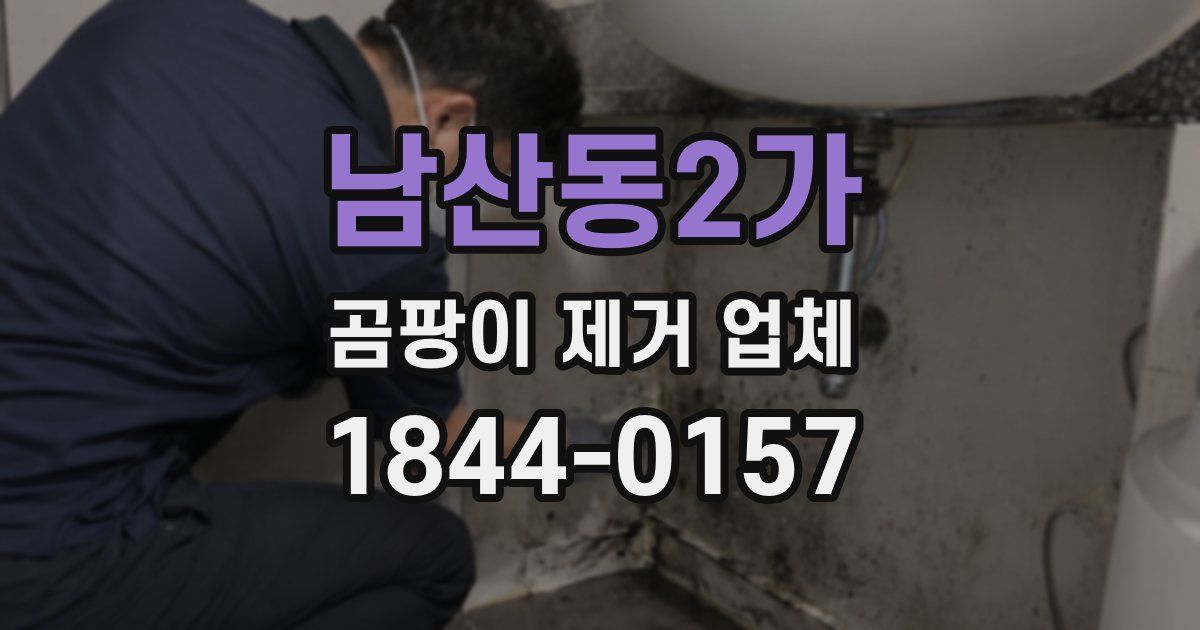 남산동2가 곰팡이 제거 업체