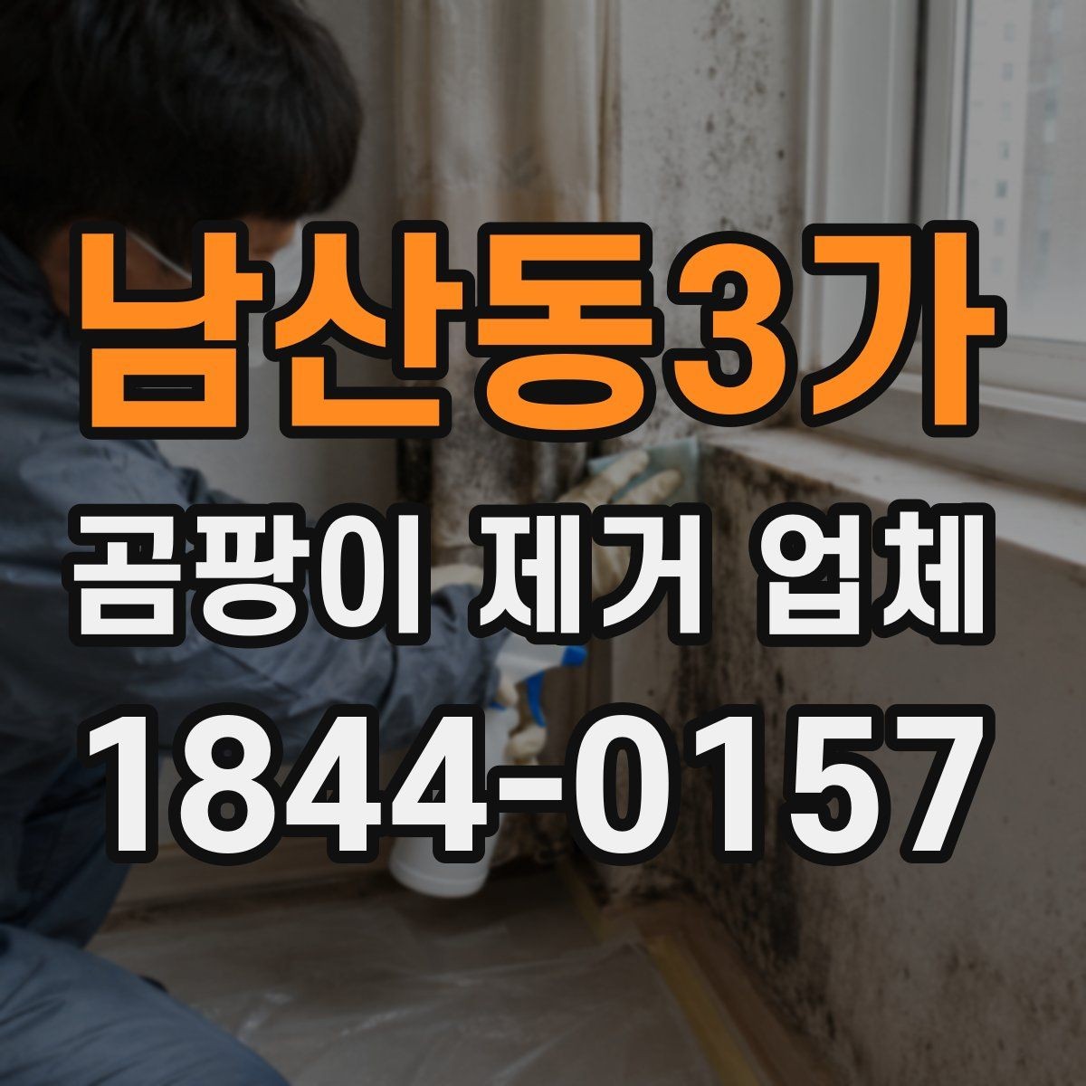 남산동3가 곰팡이 제거 업체 표면 청소와 근본 처리의 차이를 이해하는 기준
