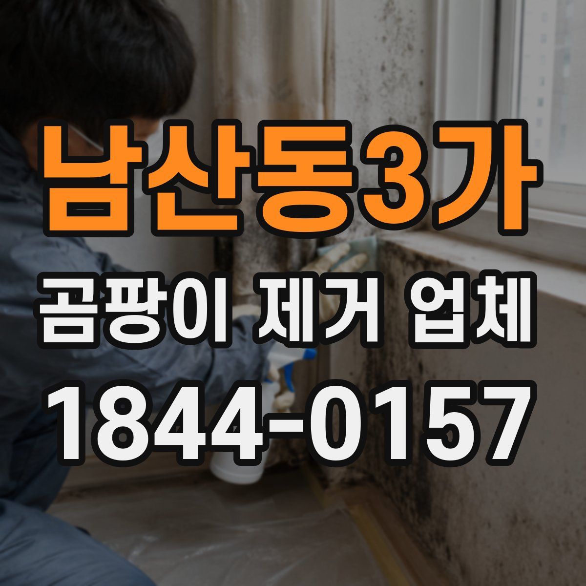 남산동3가 곰팡이 제거 업체