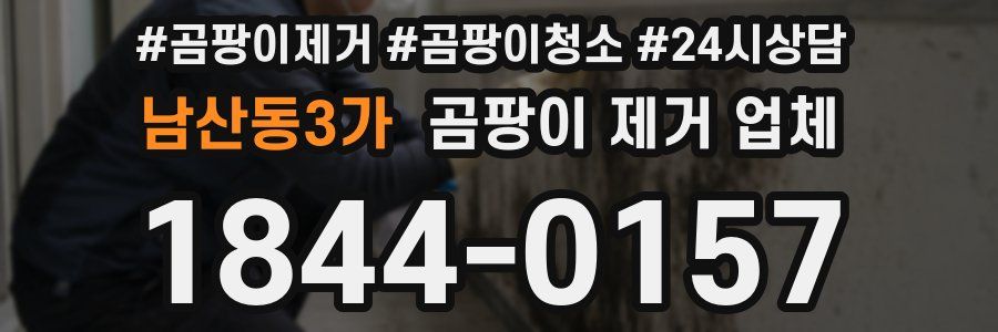 남산동3가 곰팡이 제거 업체