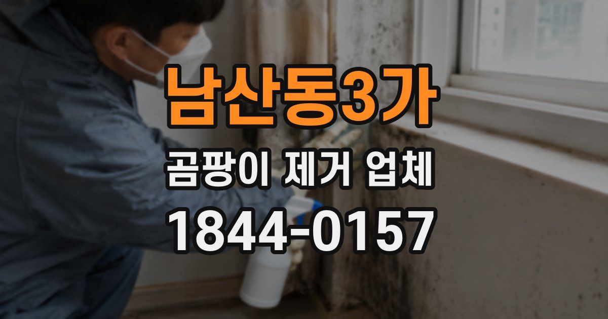 남산동3가 곰팡이 제거 업체