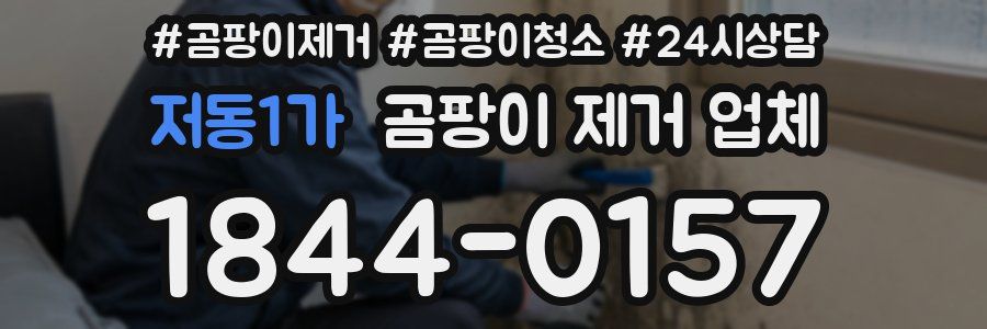저동1가 곰팡이 제거 업체