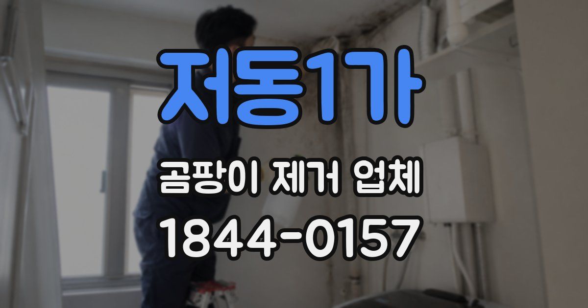 저동1가 곰팡이 제거 업체