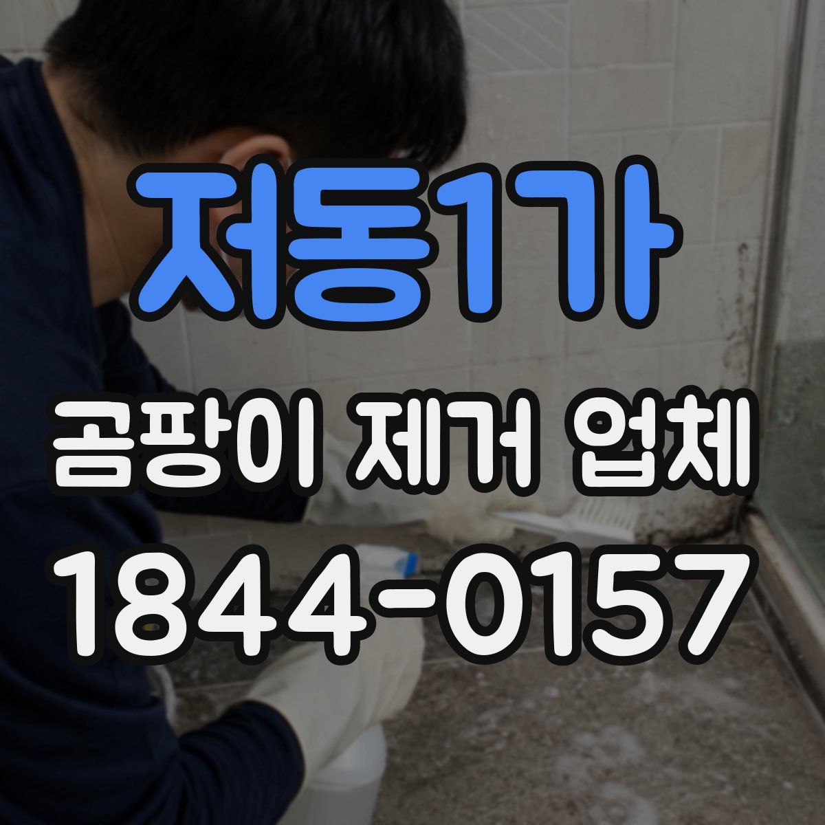 저동1가 곰팡이 제거 업체