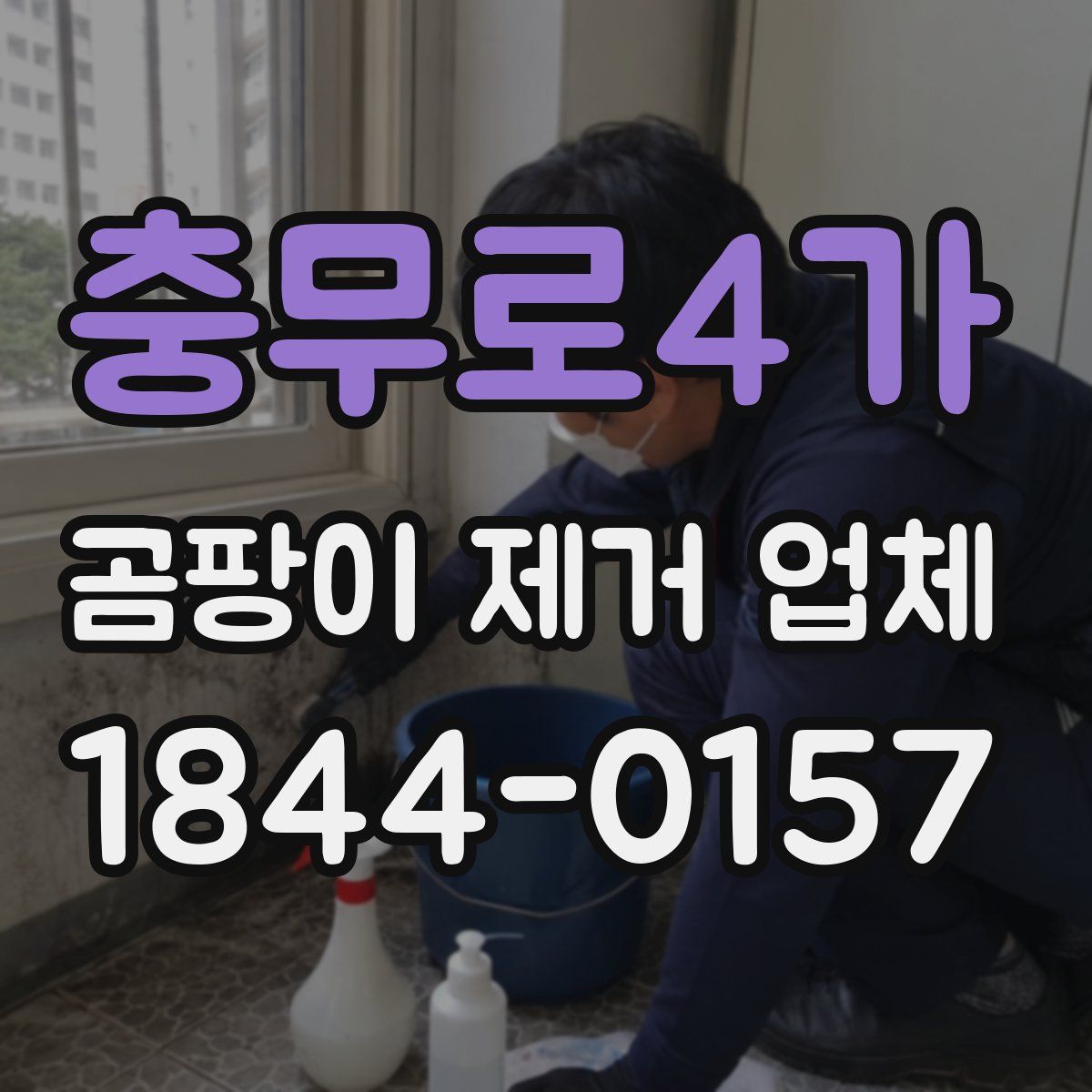 충무로4가 곰팡이 제거 업체