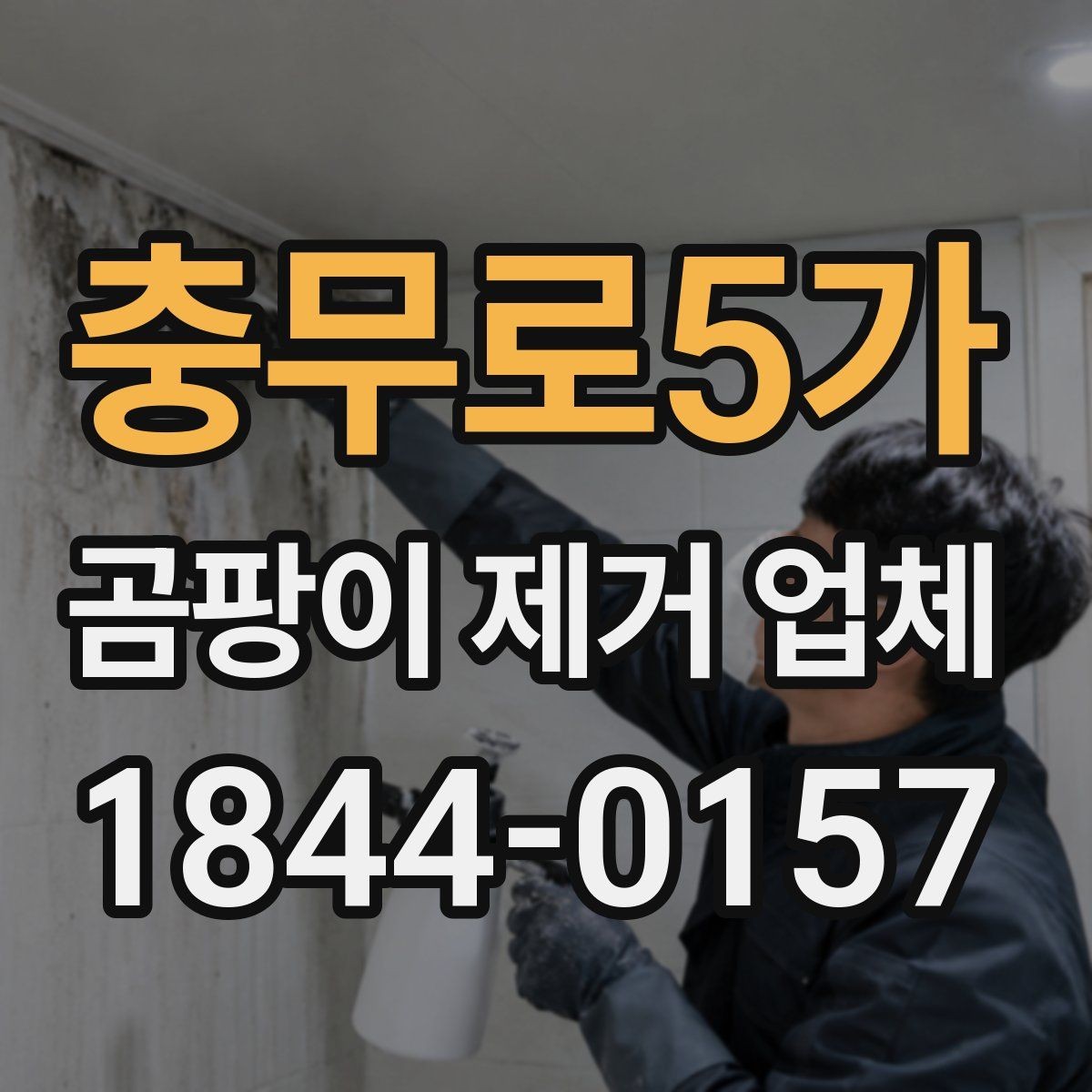 충무로5가 곰팡이 제거 업체 욕실 줄눈과 실리콘 오염을 함께 보는 기준