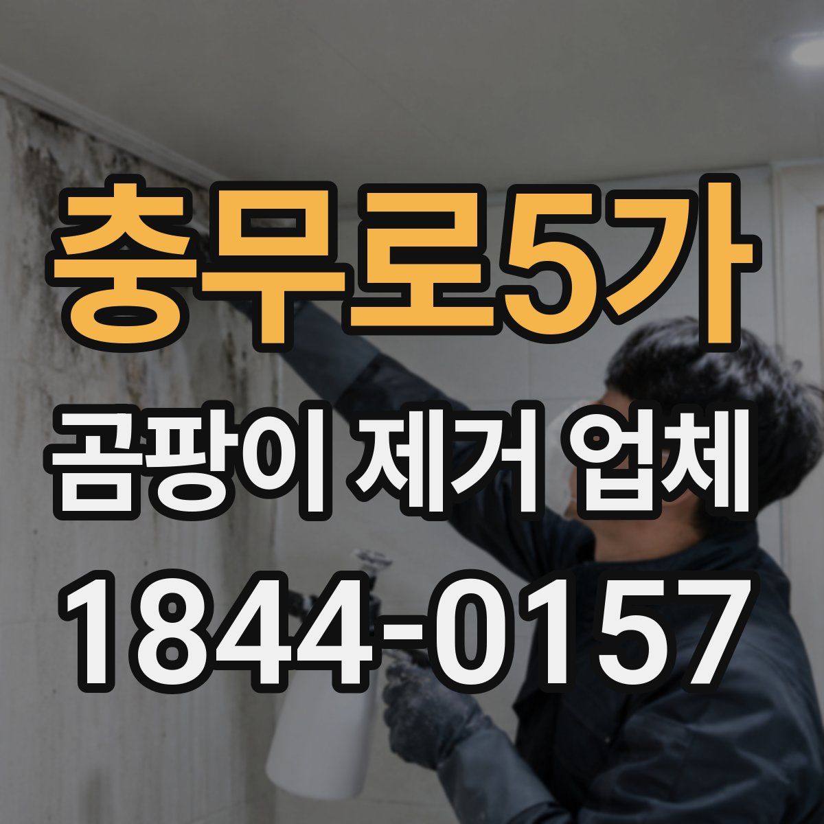 충무로5가 곰팡이 제거 업체