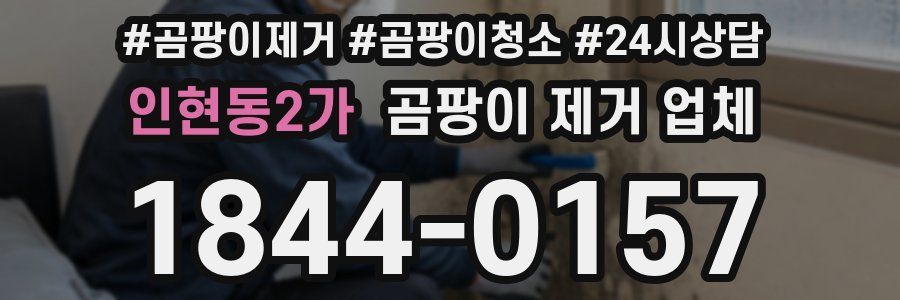 인현동2가 곰팡이 제거 업체