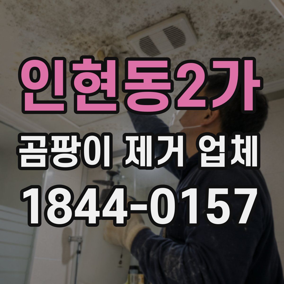 인현동2가 곰팡이 제거 업체
