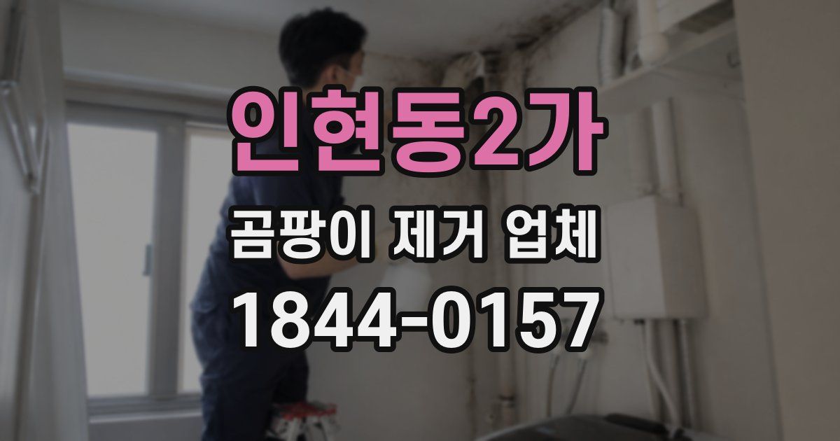 인현동2가 곰팡이 제거 업체