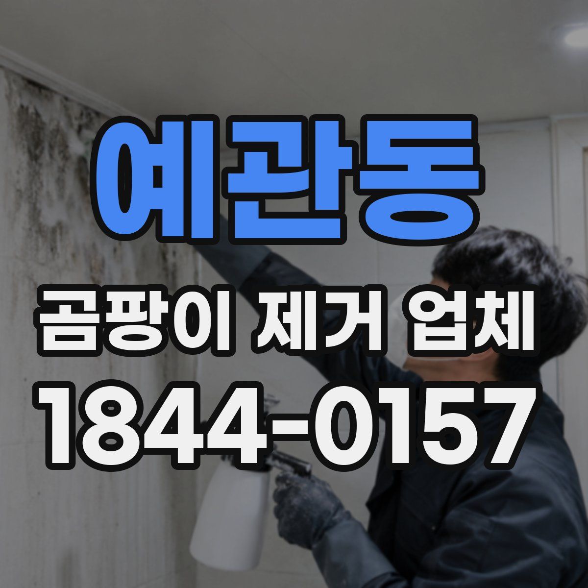 예관동 곰팡이 제거 업체