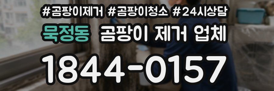 묵정동 곰팡이 제거 업체