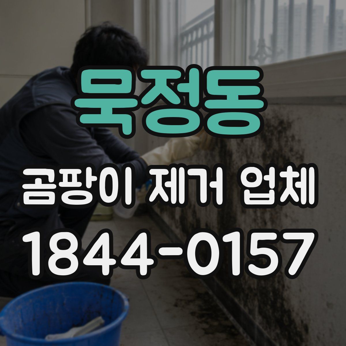 묵정동 곰팡이 제거 업체