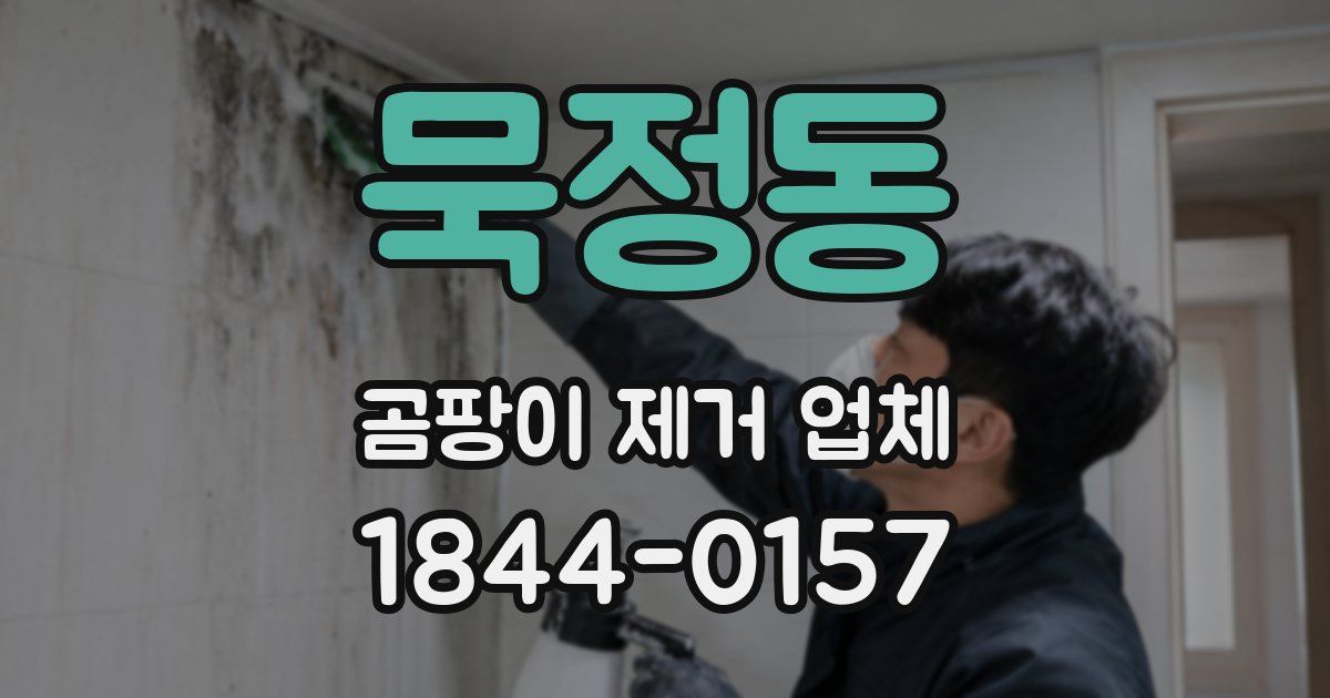 묵정동 곰팡이 제거 업체