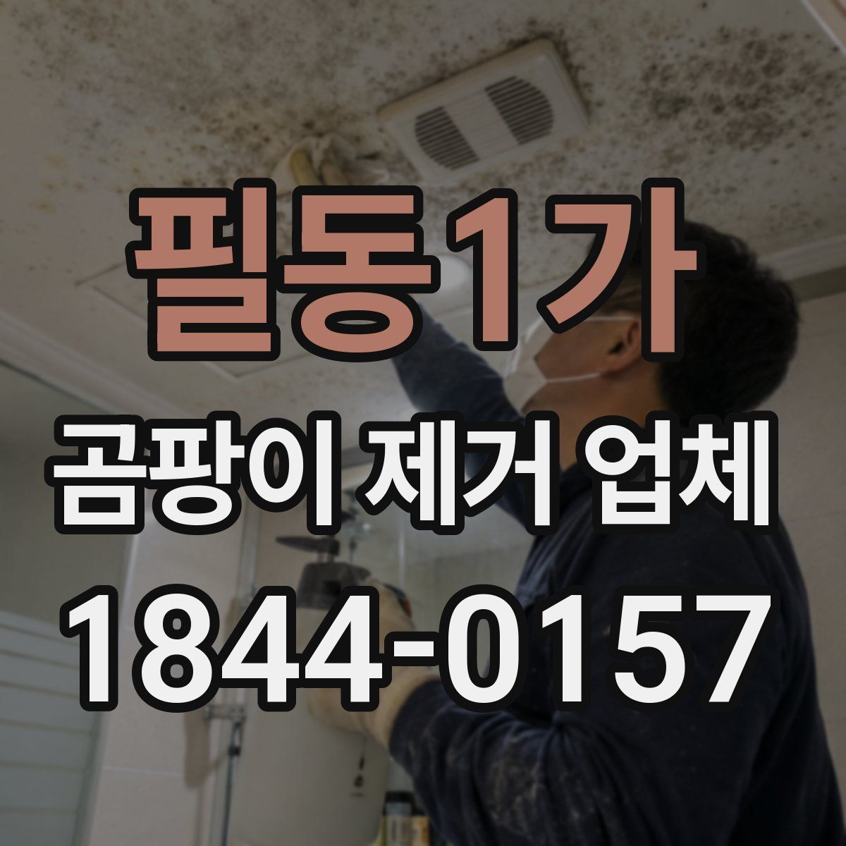 필동1가 곰팡이 제거 업체