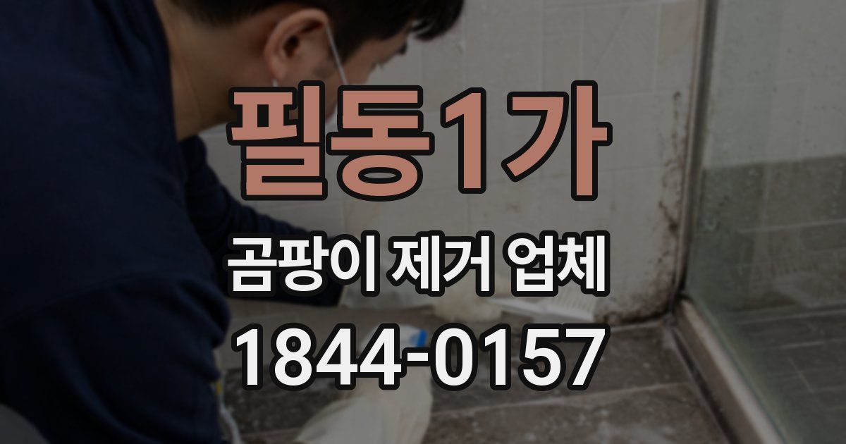 필동1가 곰팡이 제거 업체