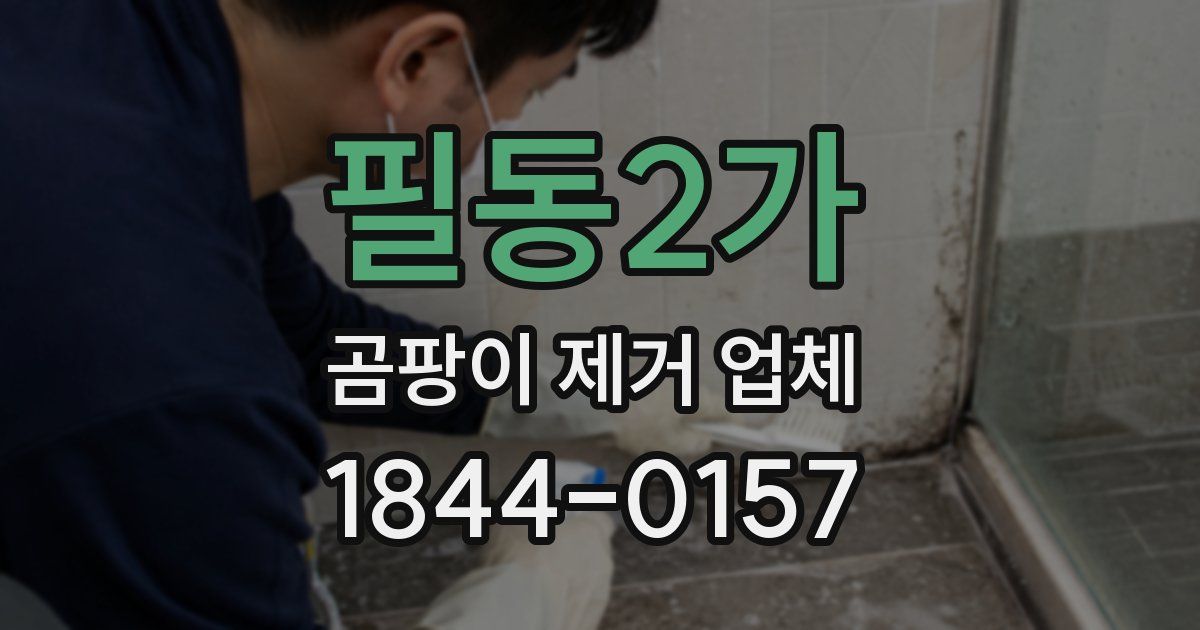 필동2가 곰팡이 제거 업체