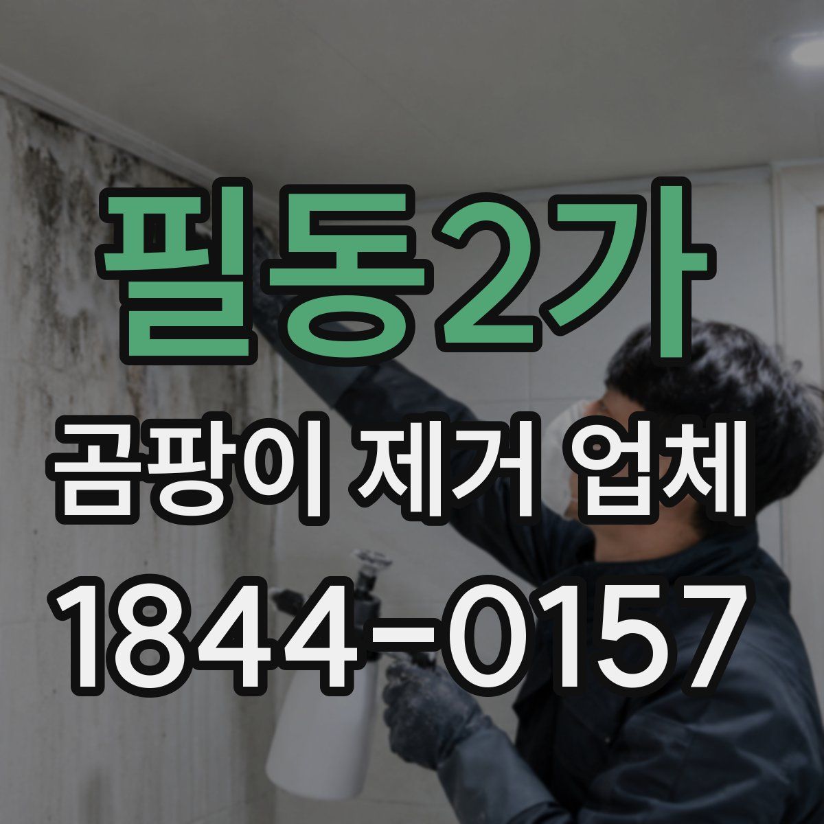필동2가 곰팡이 제거 업체