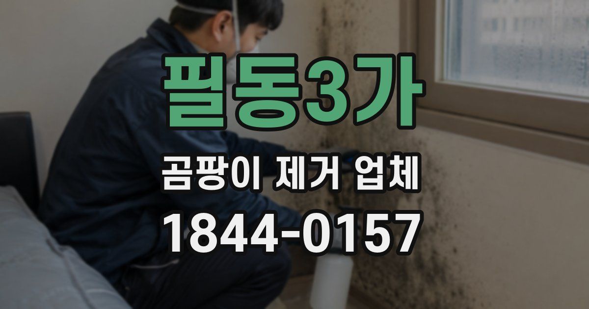 필동3가 곰팡이 제거 업체