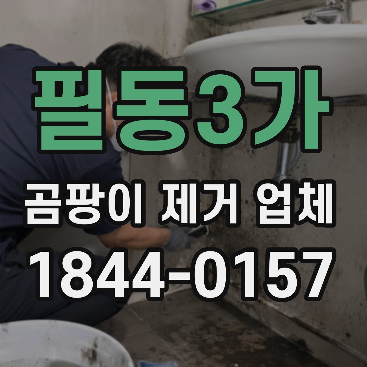 필동3가 곰팡이 제거 업체