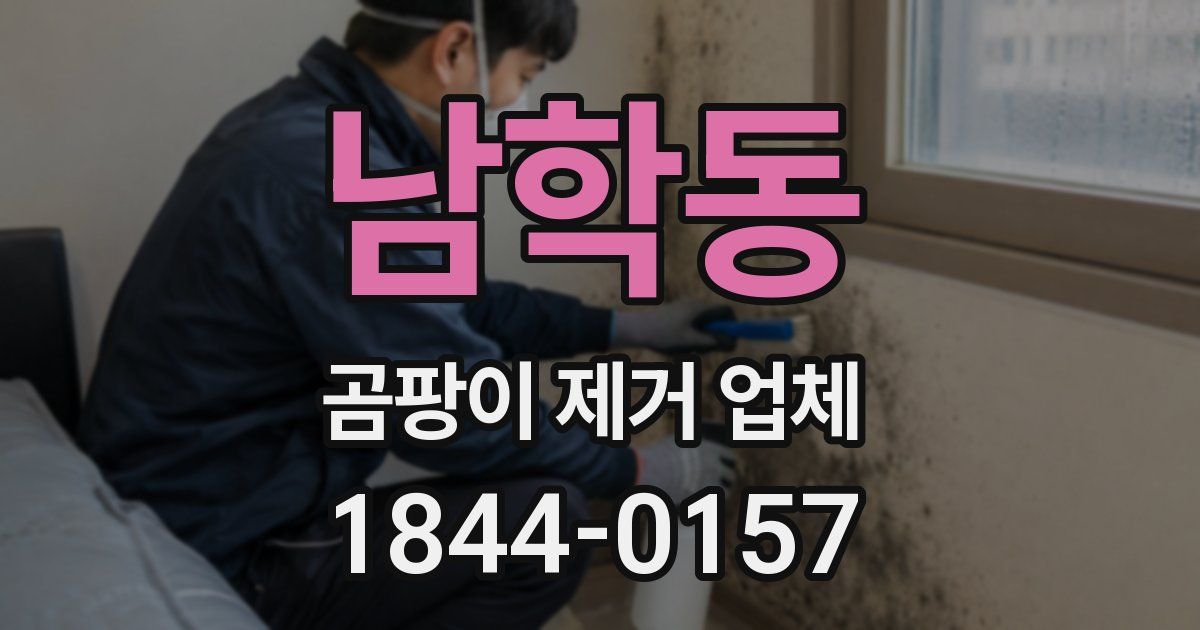 남학동 곰팡이 제거 업체