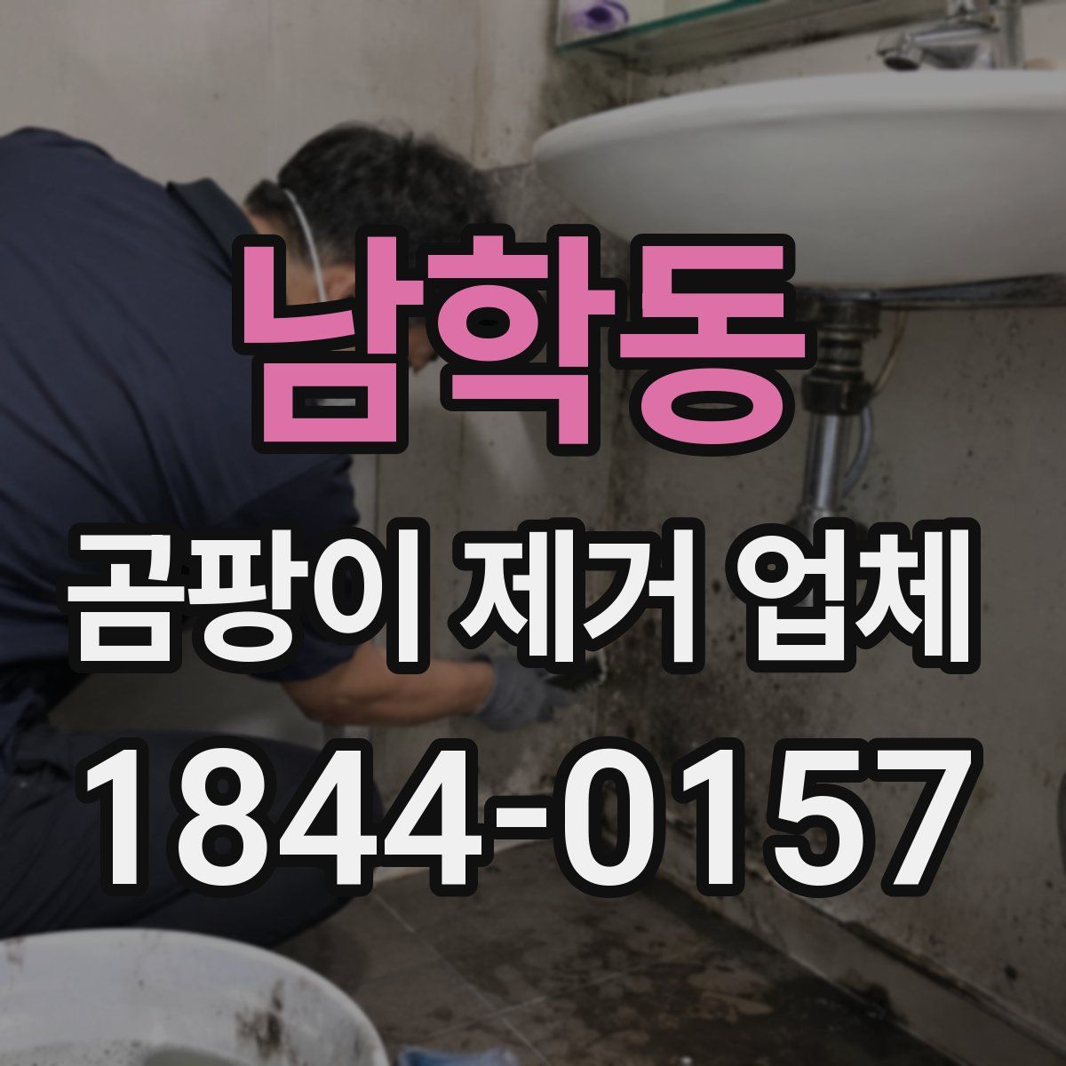 남학동 곰팡이 제거 업체