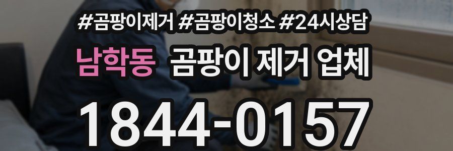 남학동 곰팡이 제거 업체