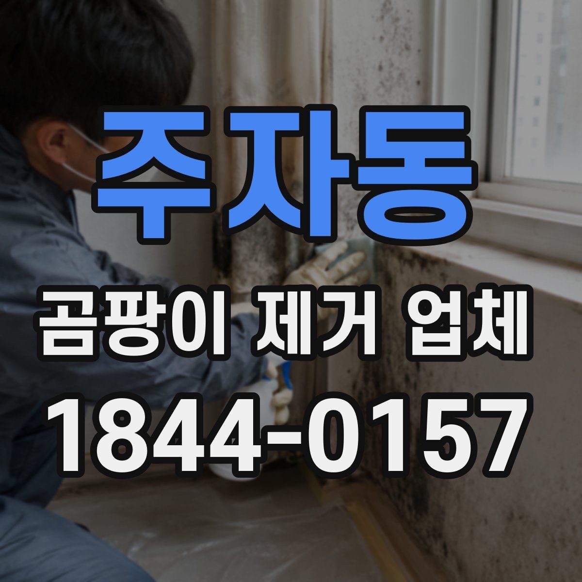 주자동 곰팡이 제거 업체 습기 많은 공간에서 먼저 보는 점검 순서