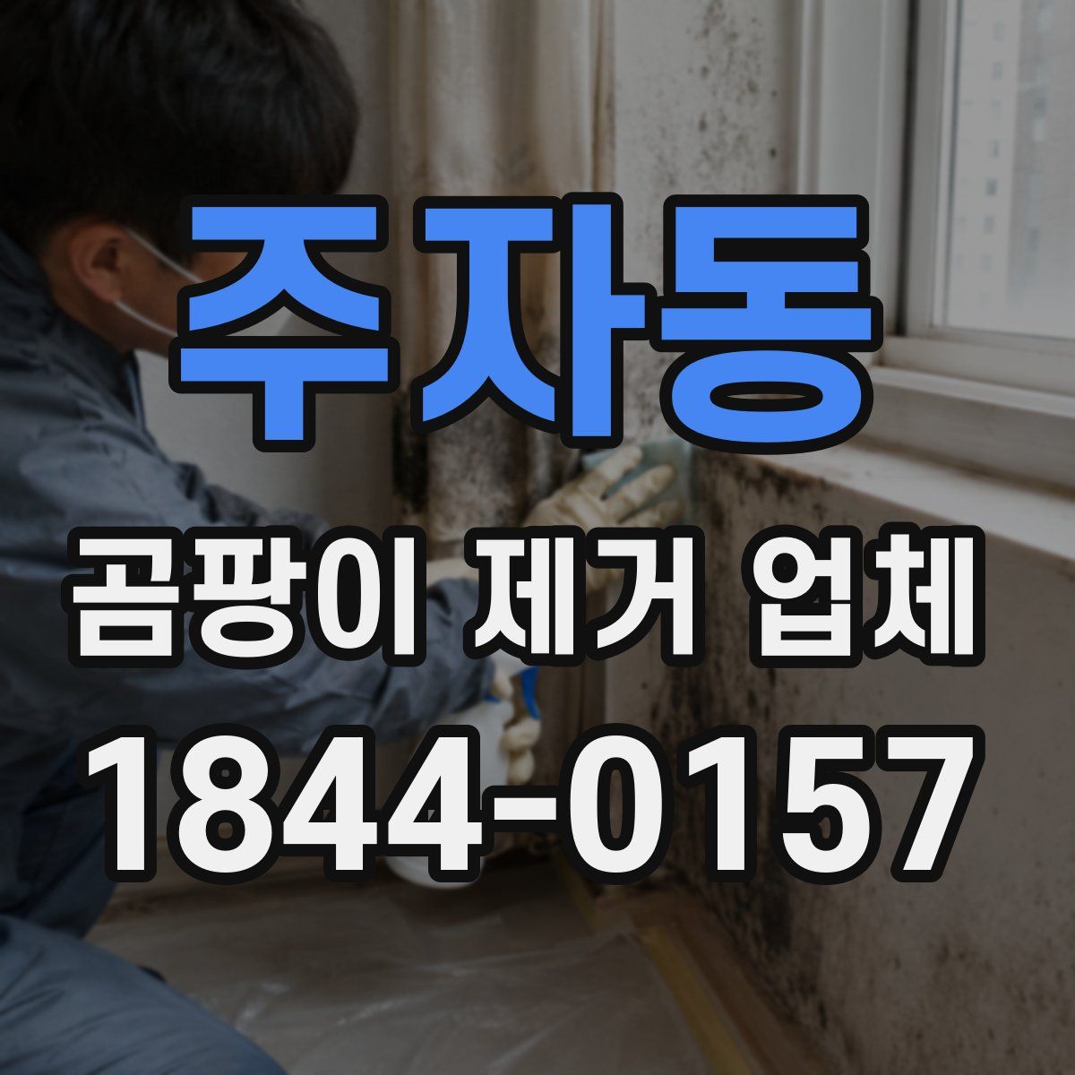 주자동 곰팡이 제거 업체