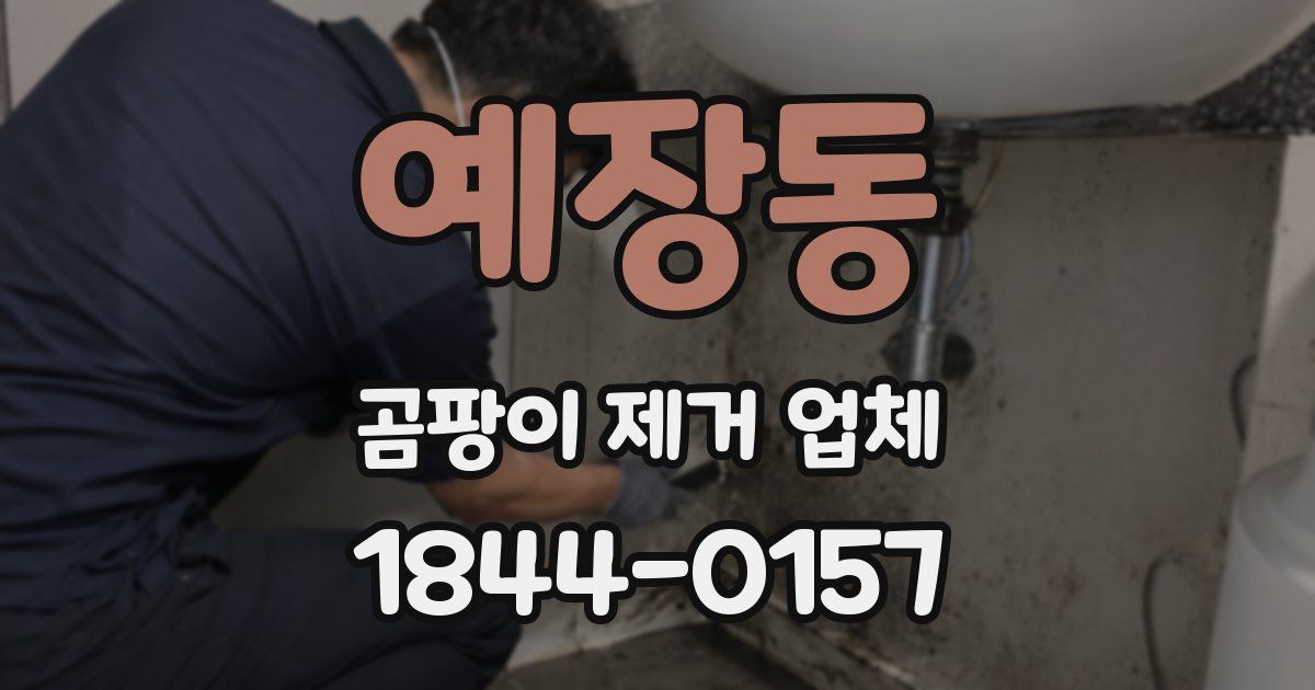 예장동 곰팡이 제거 업체