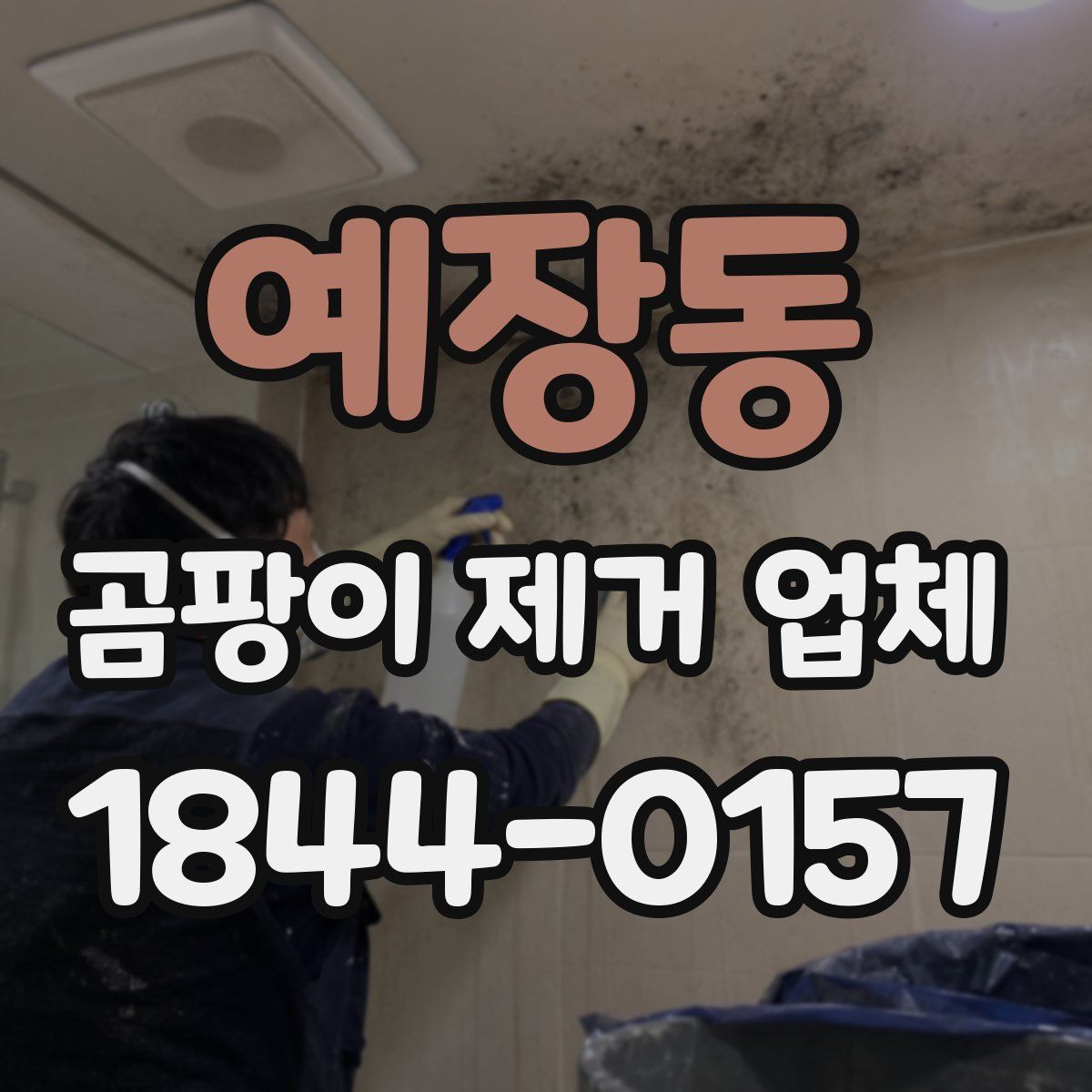 예장동 곰팡이 제거 업체